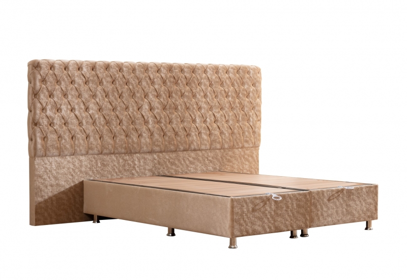 <p>SİENA BAZA TAKIMI</p>
